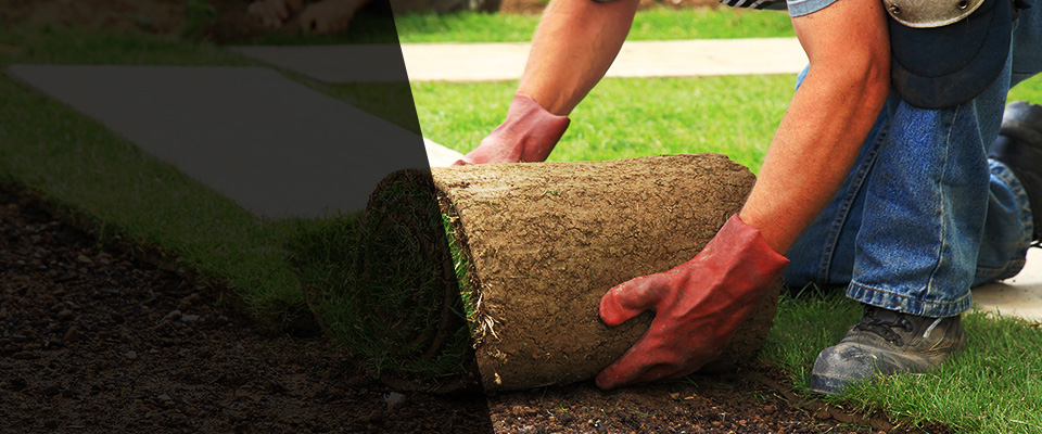 Hahira Landscapers